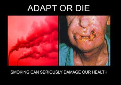 Adapt or Die