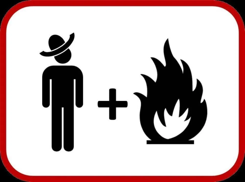 Diego Y El Fuego