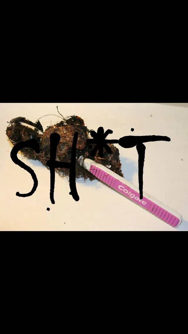 Secondhand Toothbrush