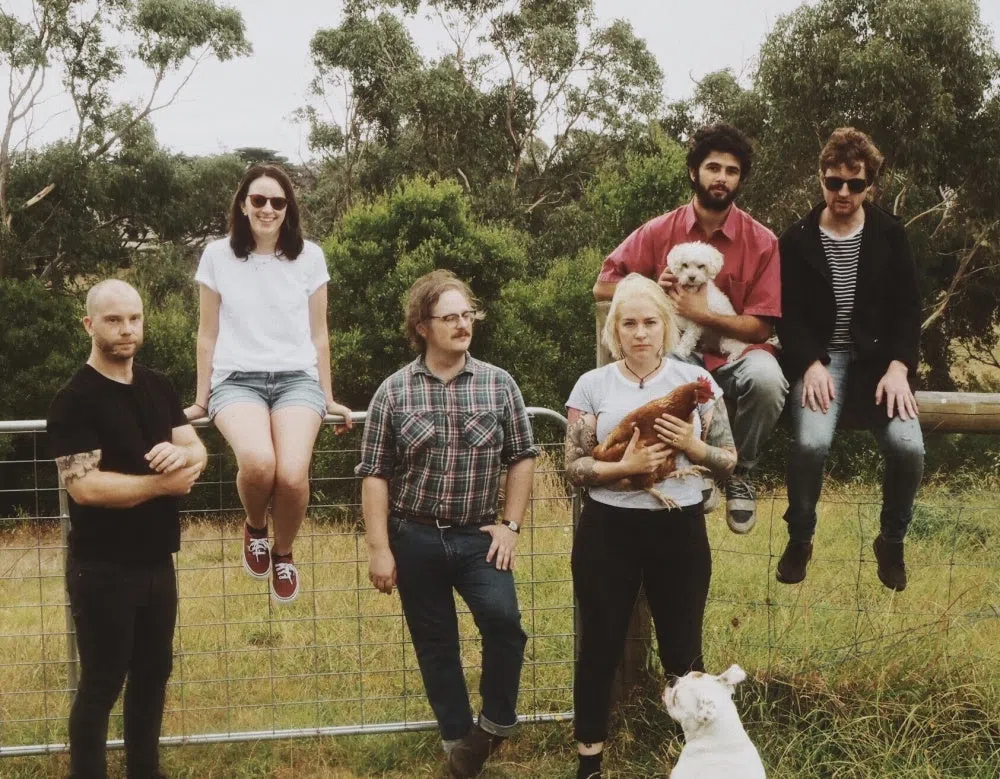 The Sugarcanes