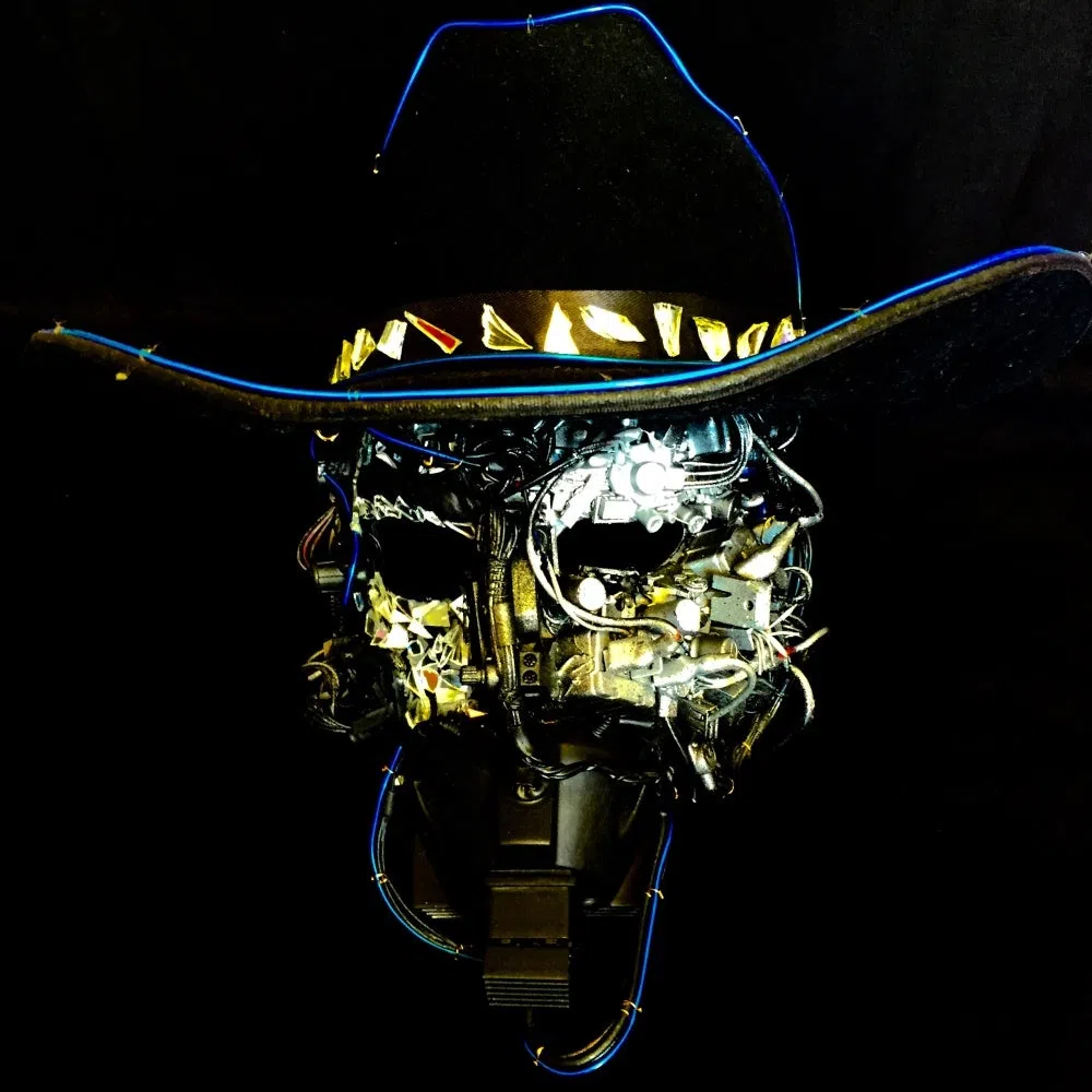 SUBURBAN ELECTRONIC COWBOY