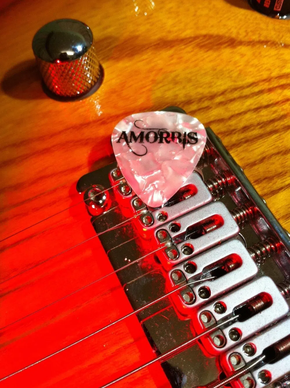Amorbis