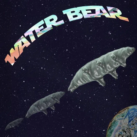 Water Bear