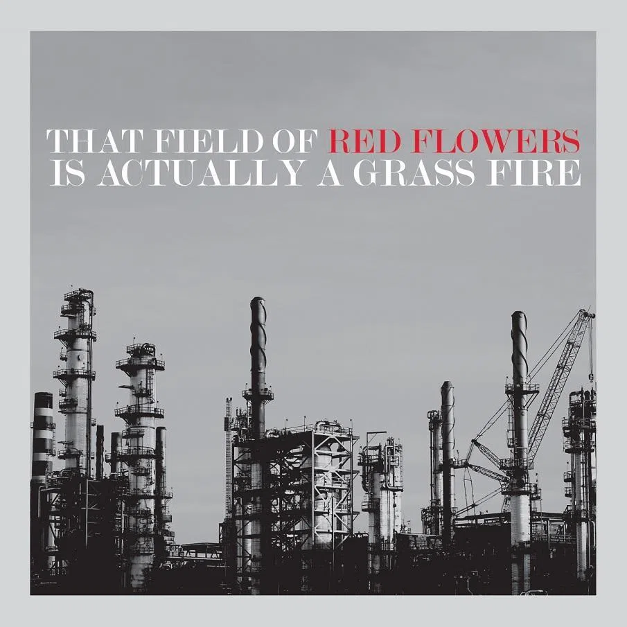 That field of red flowers is actually a grass fire