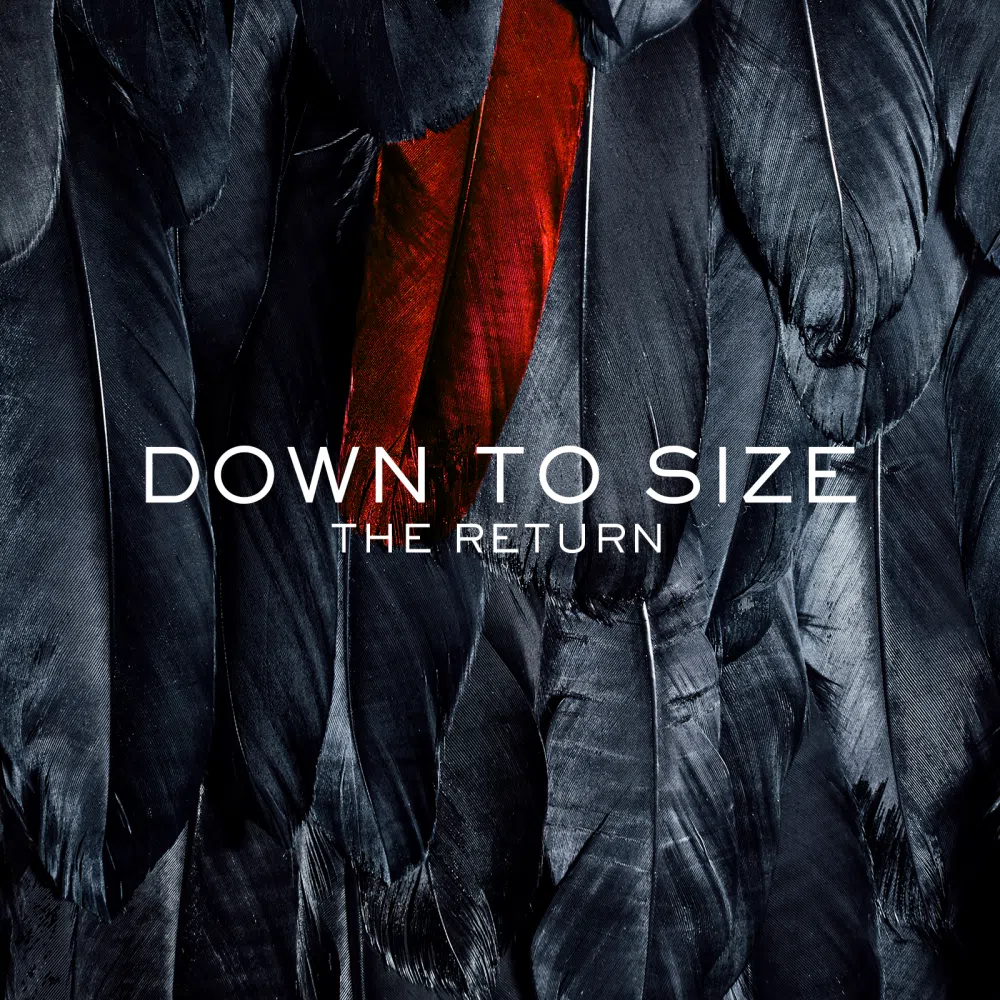 Down to Size