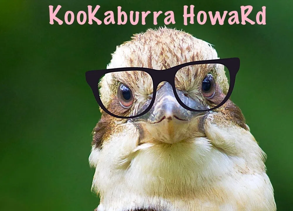 KooKaburra HowaRd