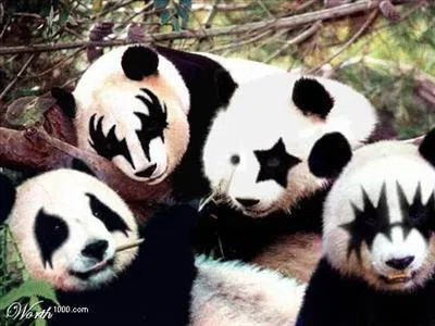 Djpandaz