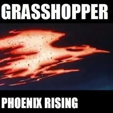 Grasshopper