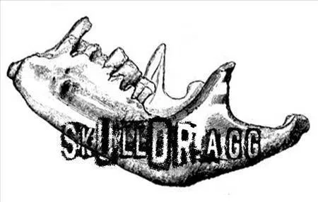 Skulldragg
