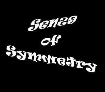 Sense Of Symmetry