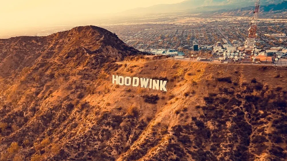 Hoodwink