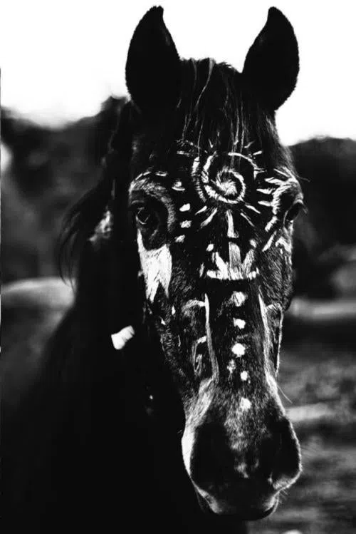 Equxne
