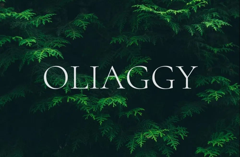 Oliaggy