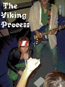 Viking process