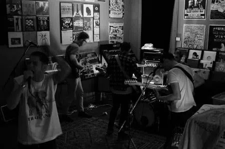 Palisades