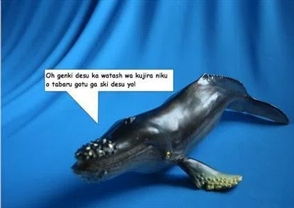 Redneck Whale