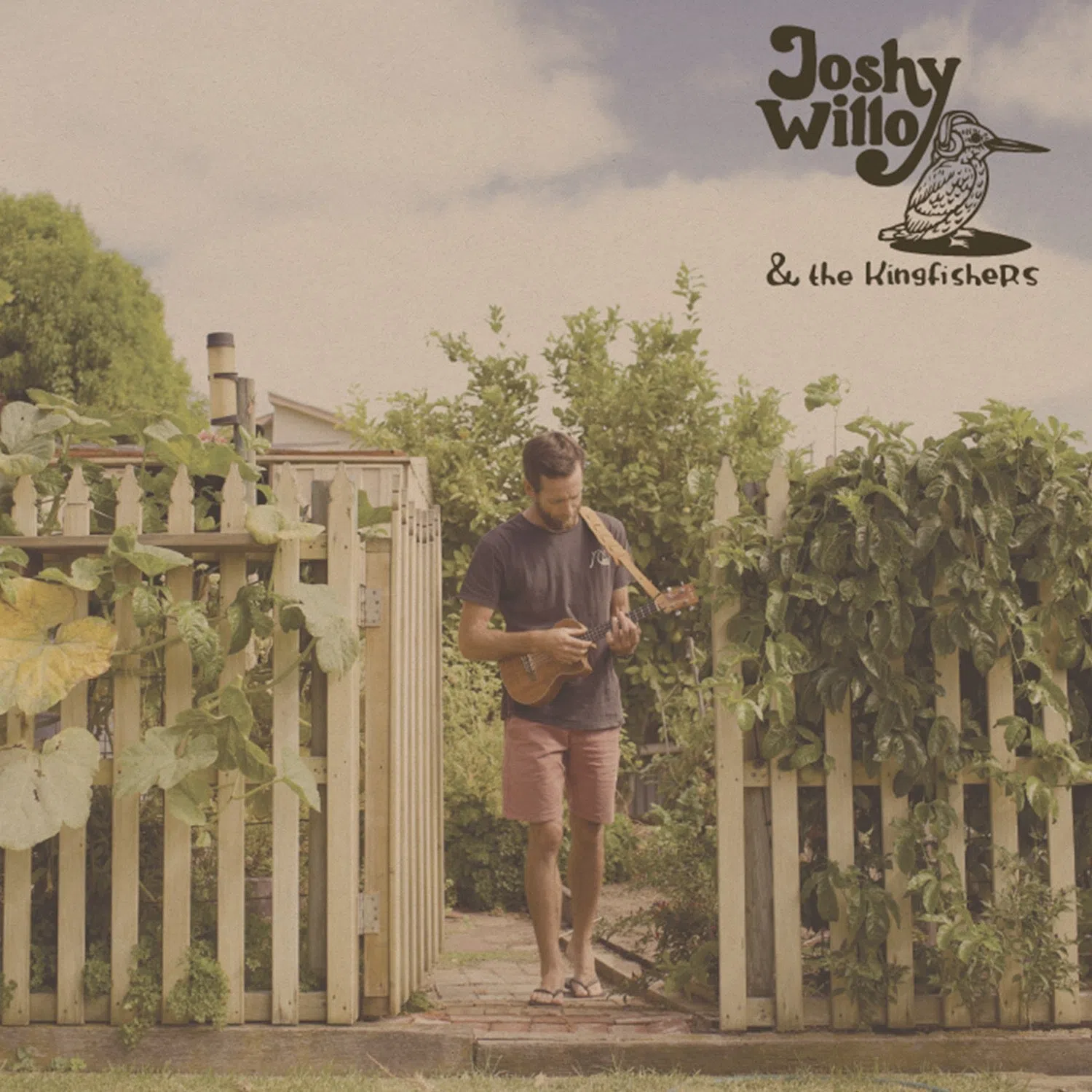 Joshy Willo