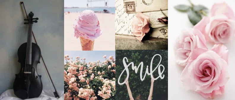 Bella-rose