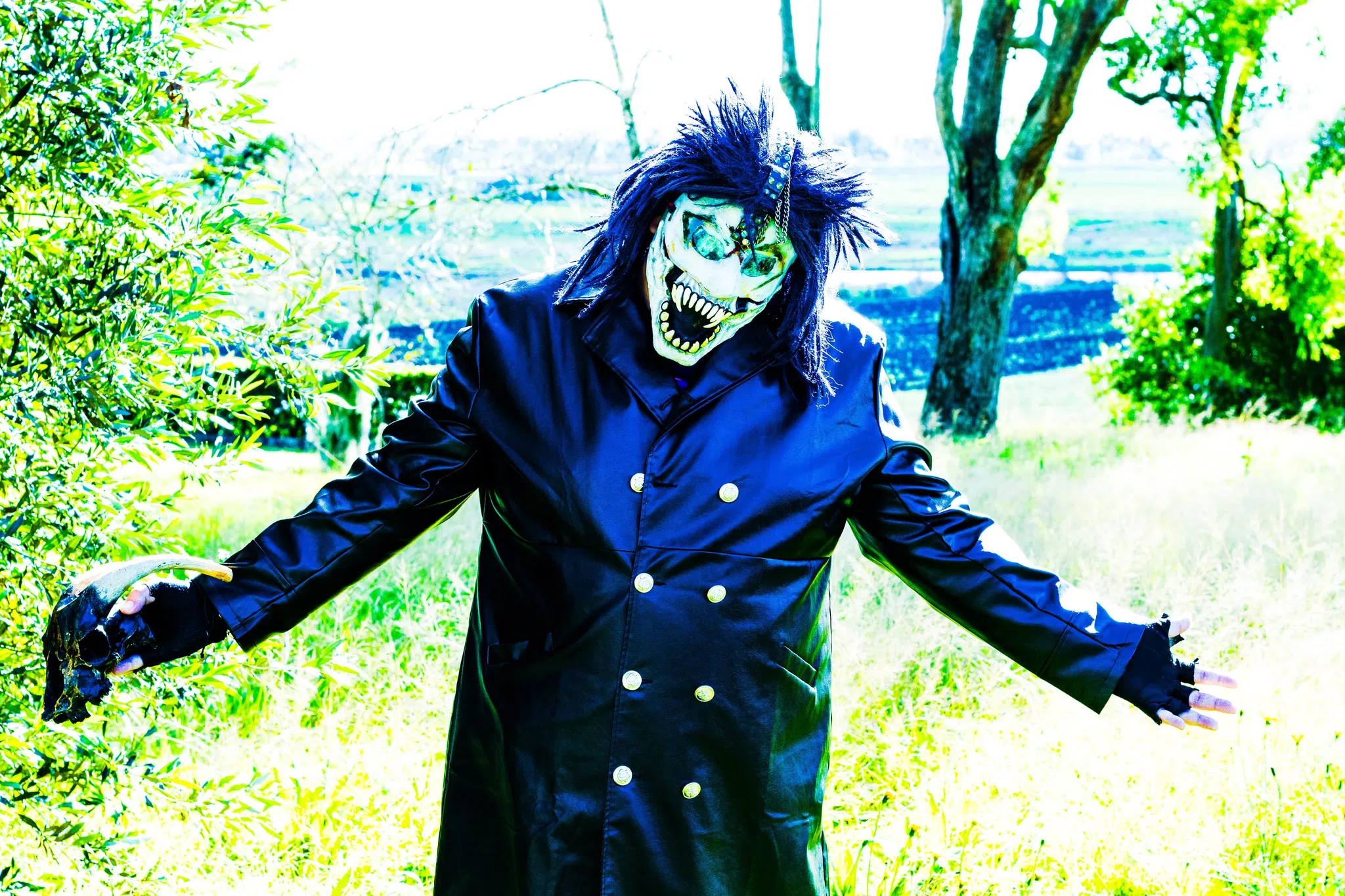 Jackal Crow