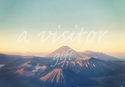 A Visitor