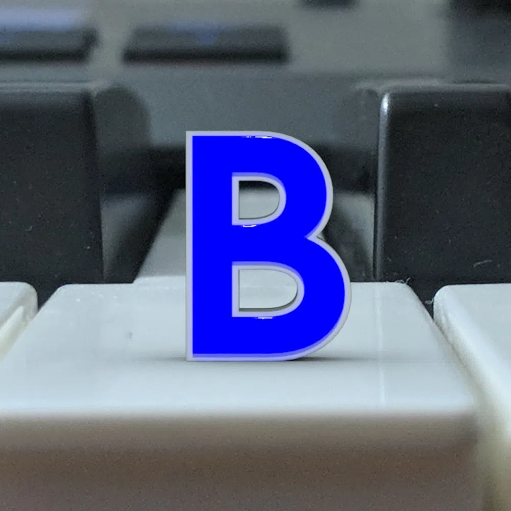 Bird.wav