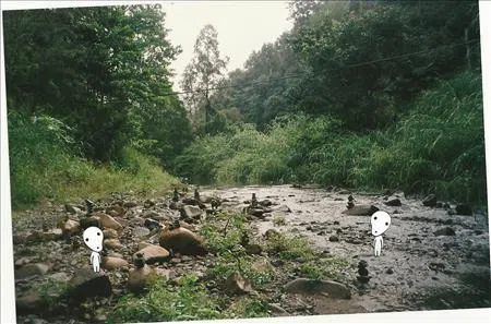 dobhi