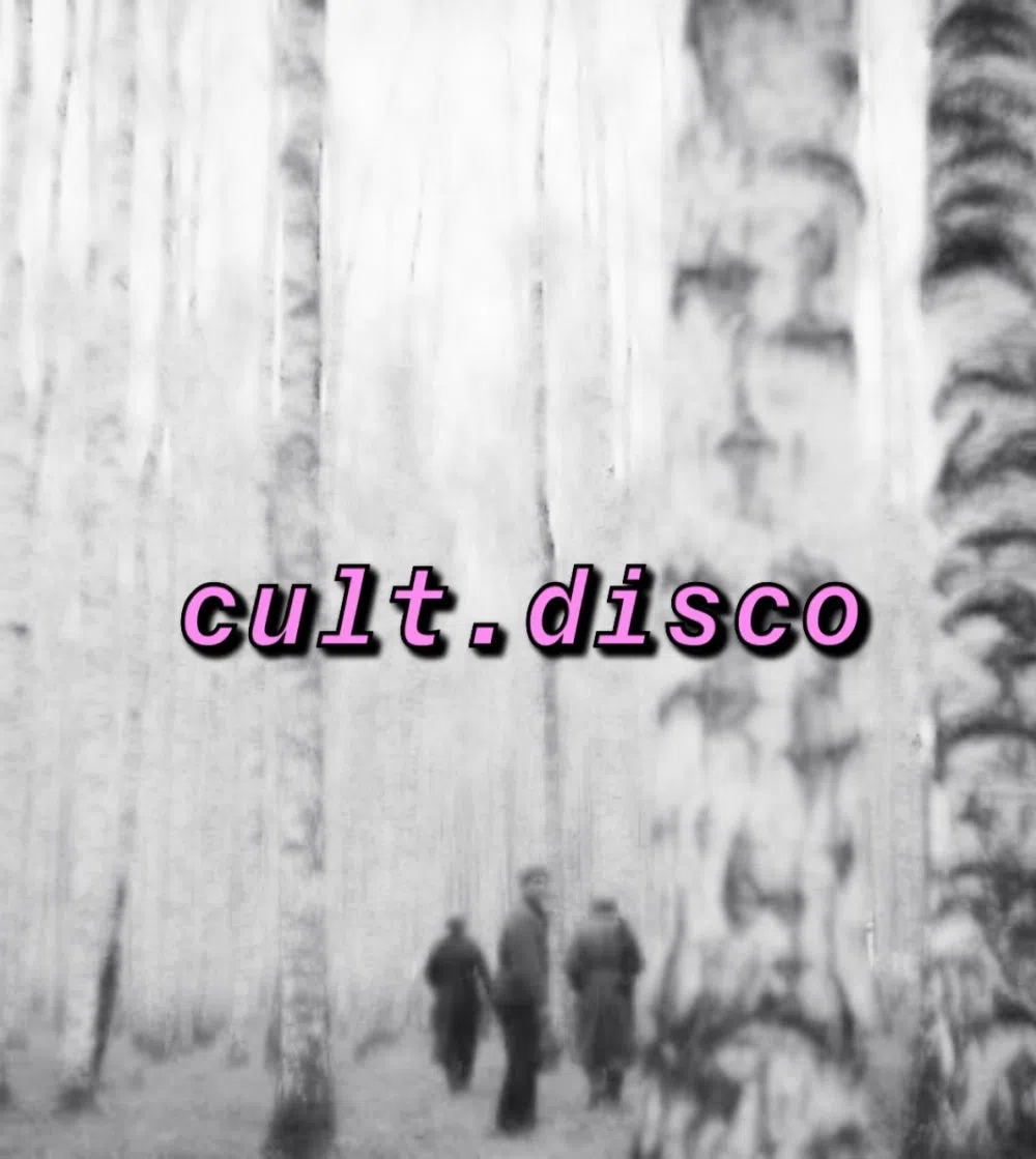 cult.disco
