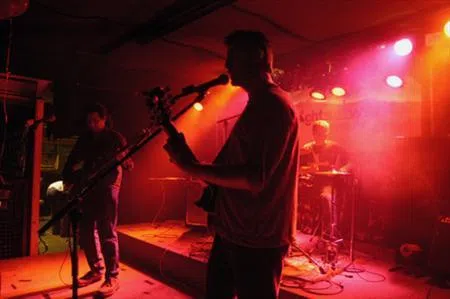 The BottomFeeders