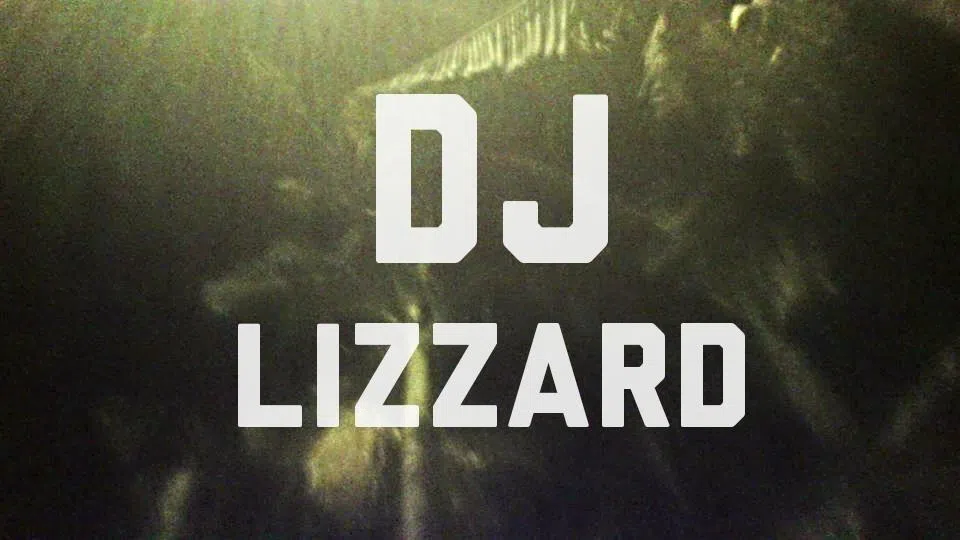 DJ Lizzard