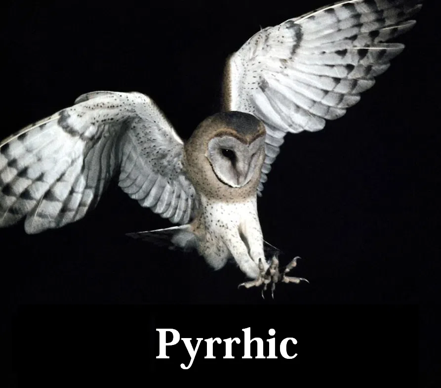 Pyrrhic.