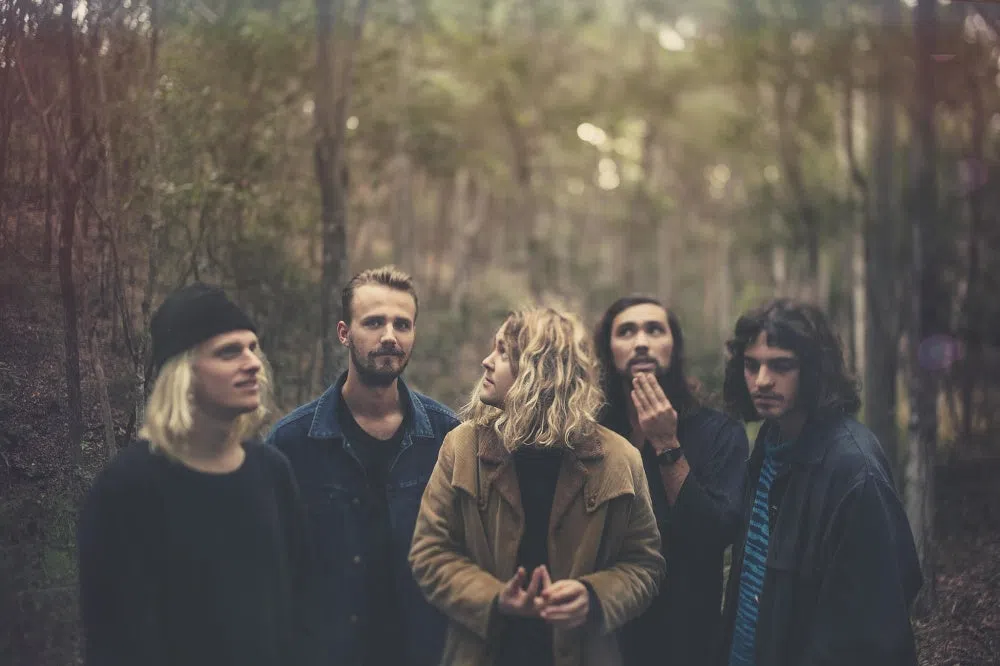 The Belligerents