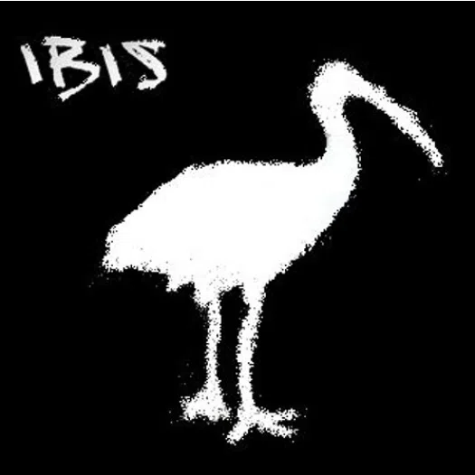 Ibis
