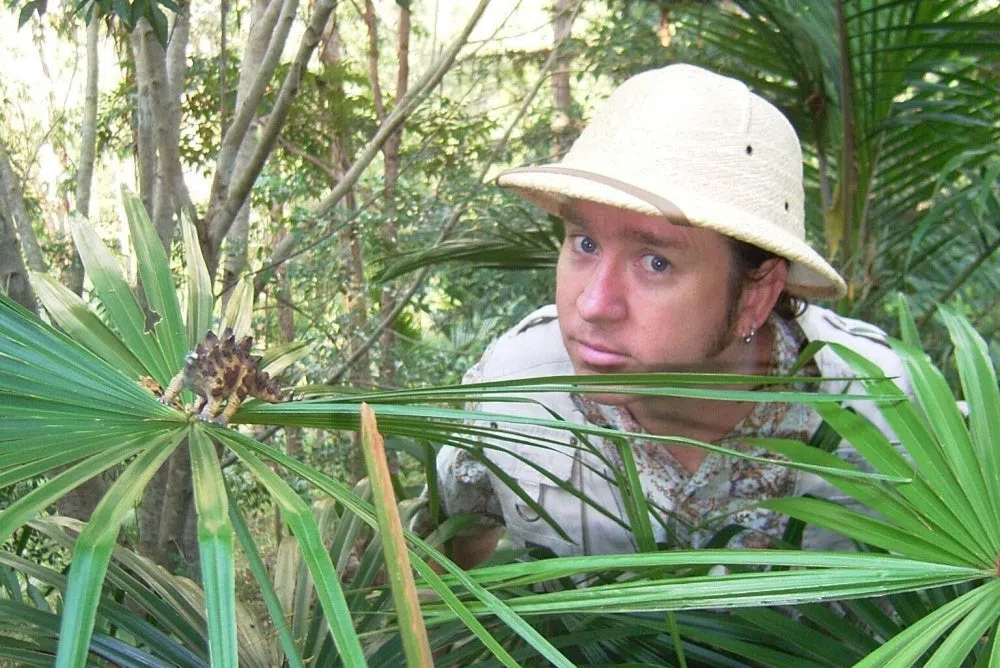 Jurassic Joe