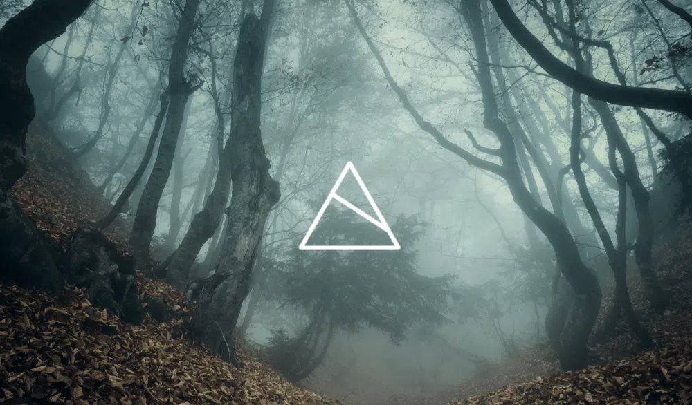 TRANSIENT PARK
