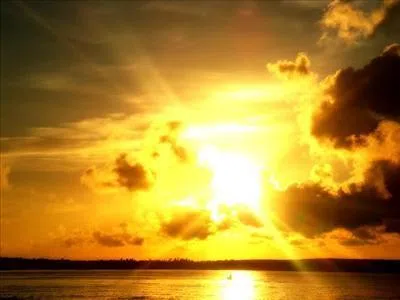 Sunworshipper