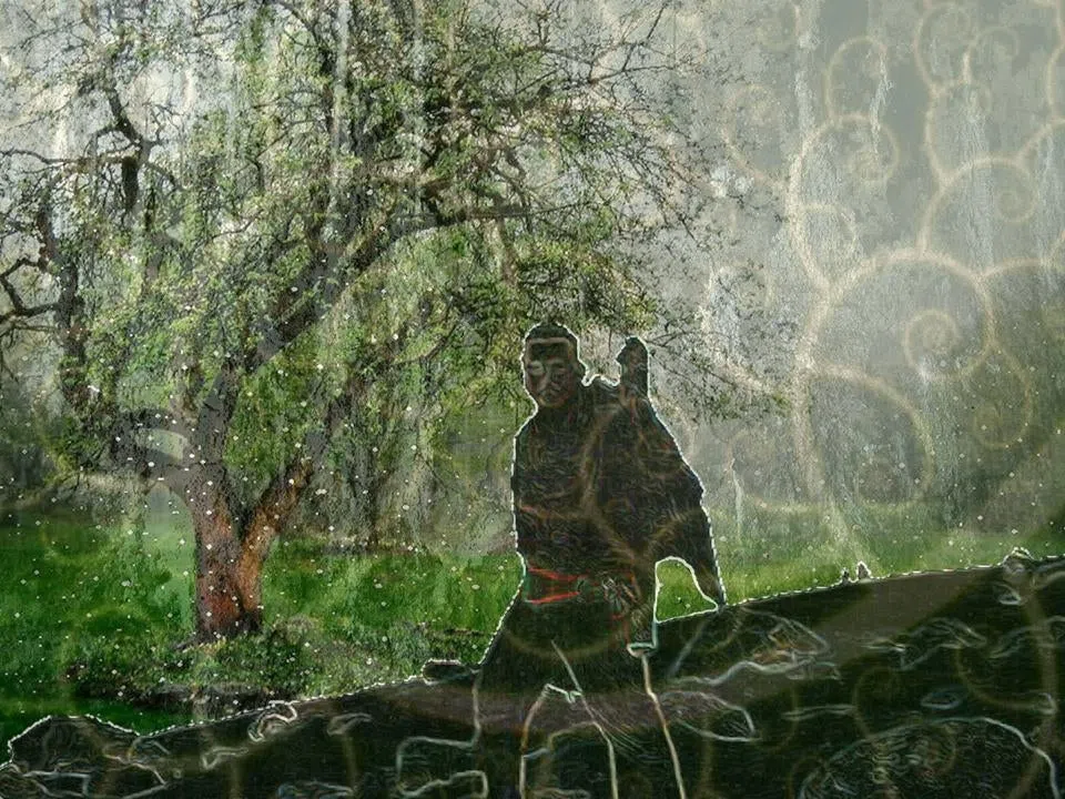 the lost bodhi
