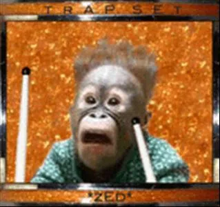Trap Set