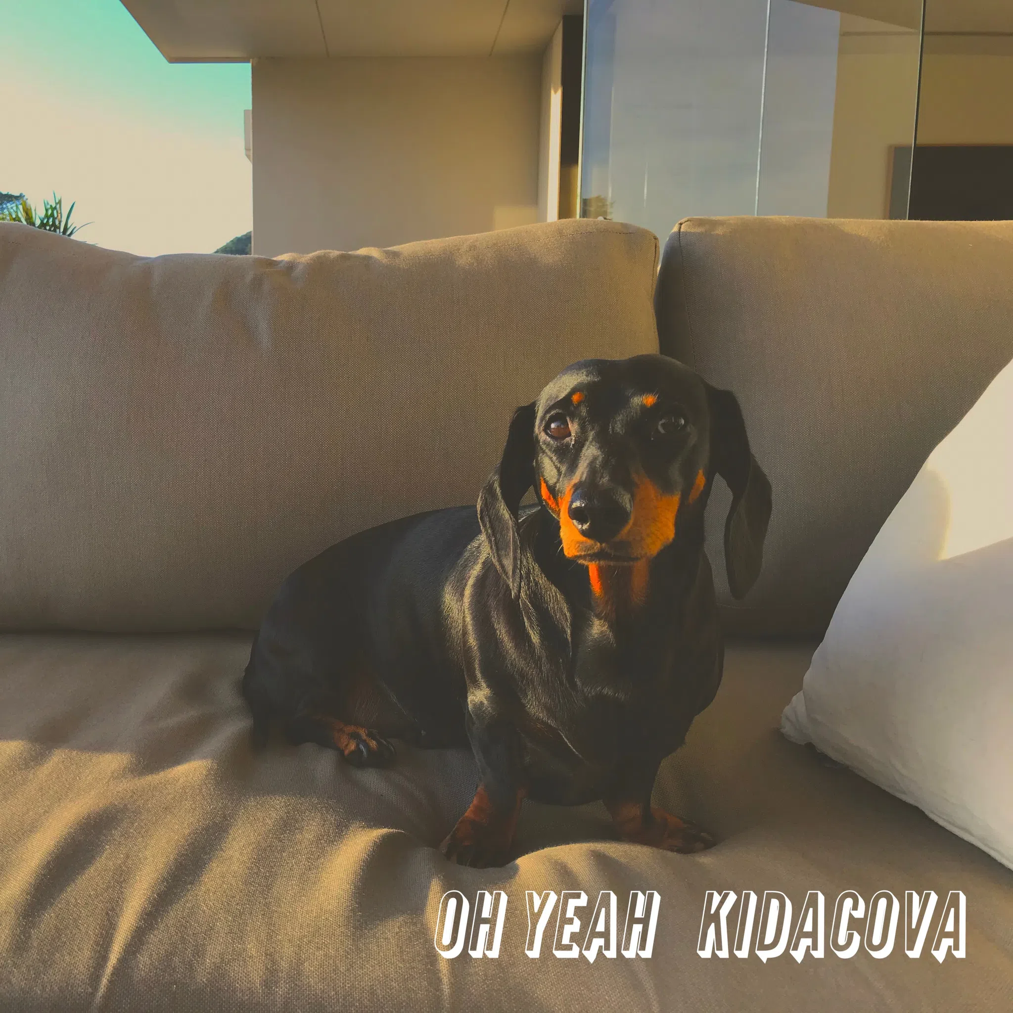KIDACOVA