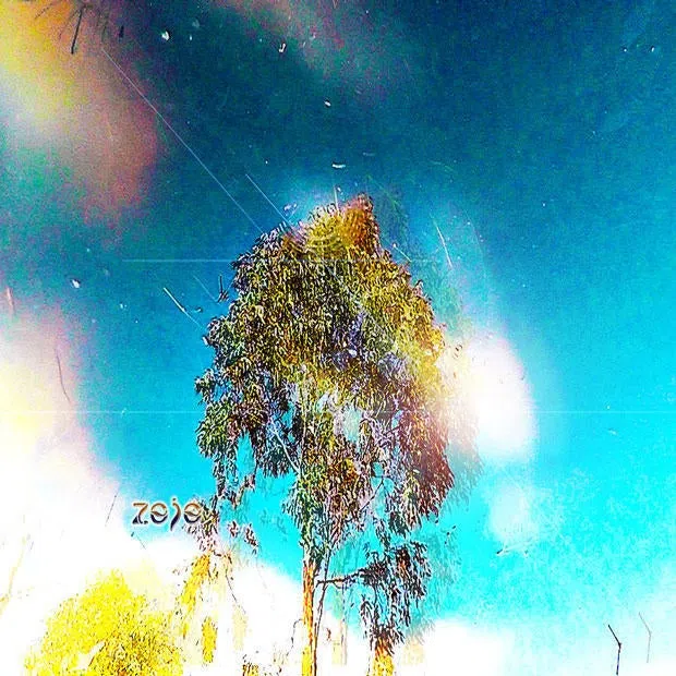 zojo