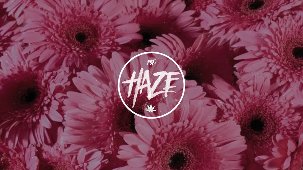 Haze Est.