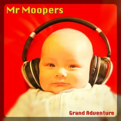 Mr Moopers