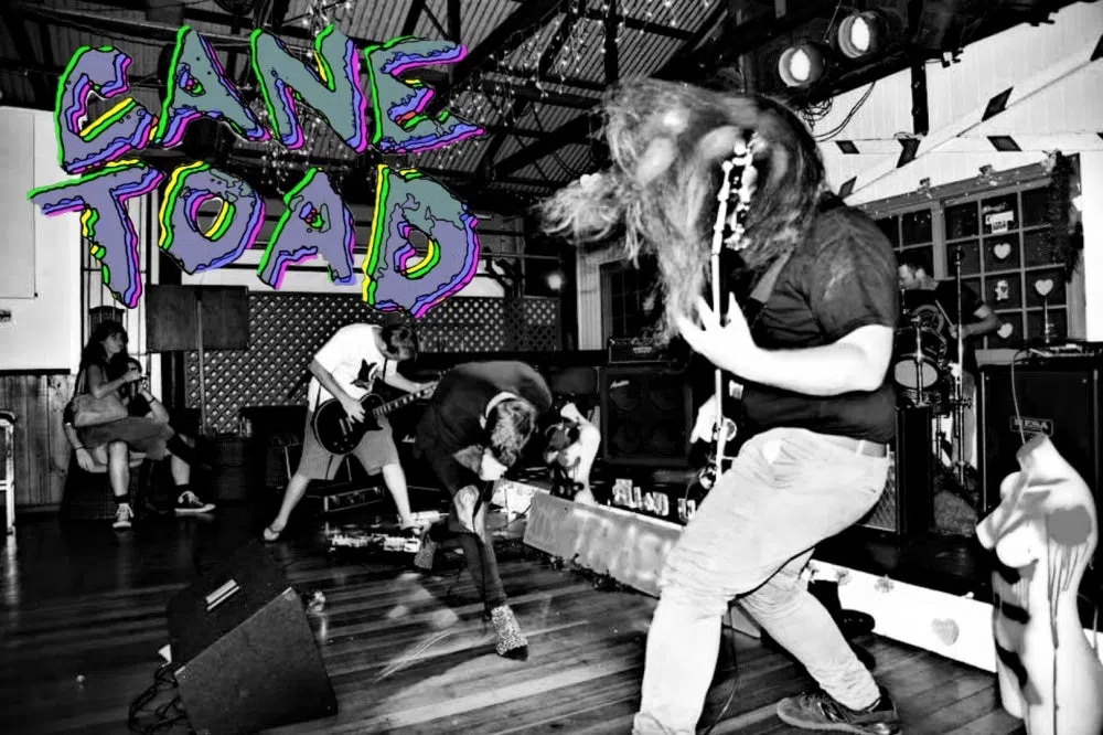 Cane Toad