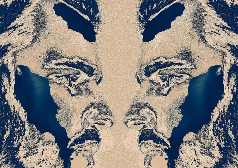 TLR