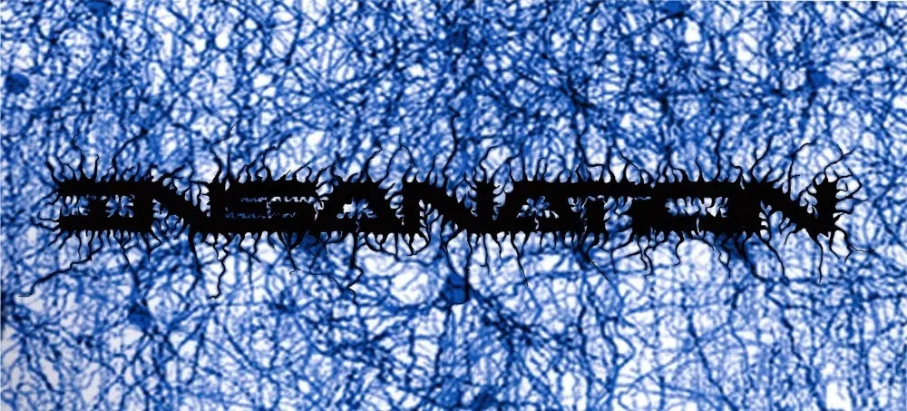 Insanation