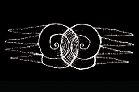 VENNSQUIDINK