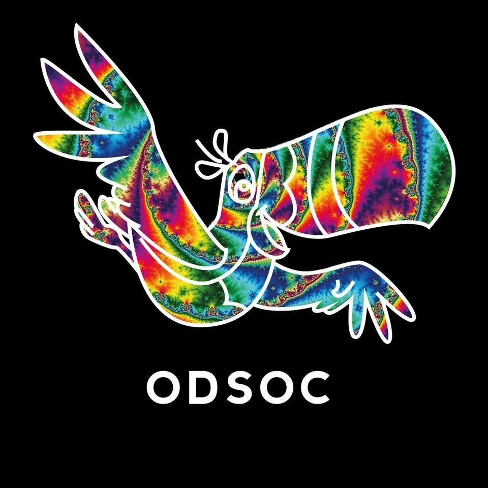 The Real (Odsoc)