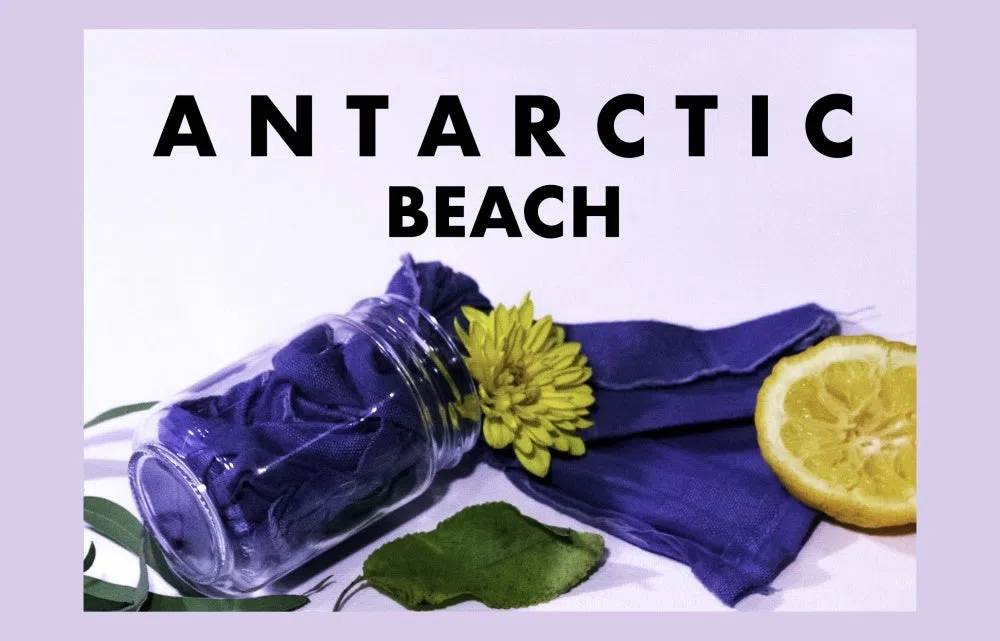 Antarctic Beach