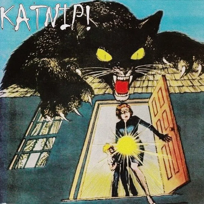 Katnip