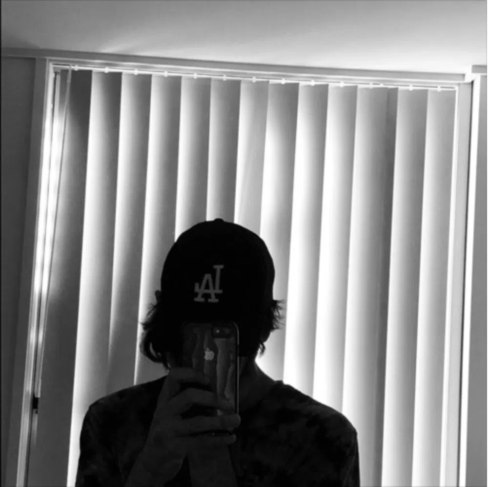 natsed