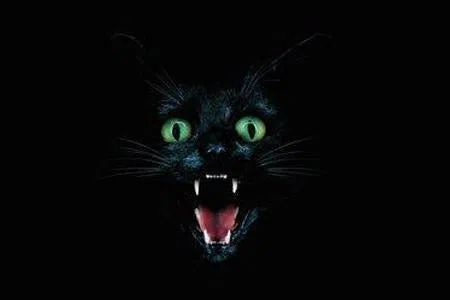 Black Fang